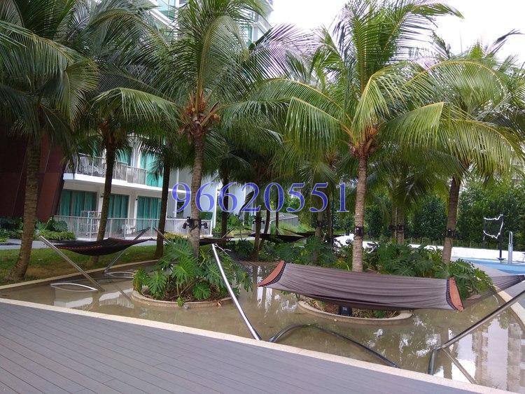 Ripple Bay (D18), Condominium #170495832